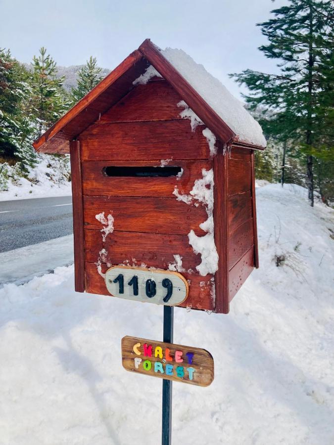 Forest Appartement
