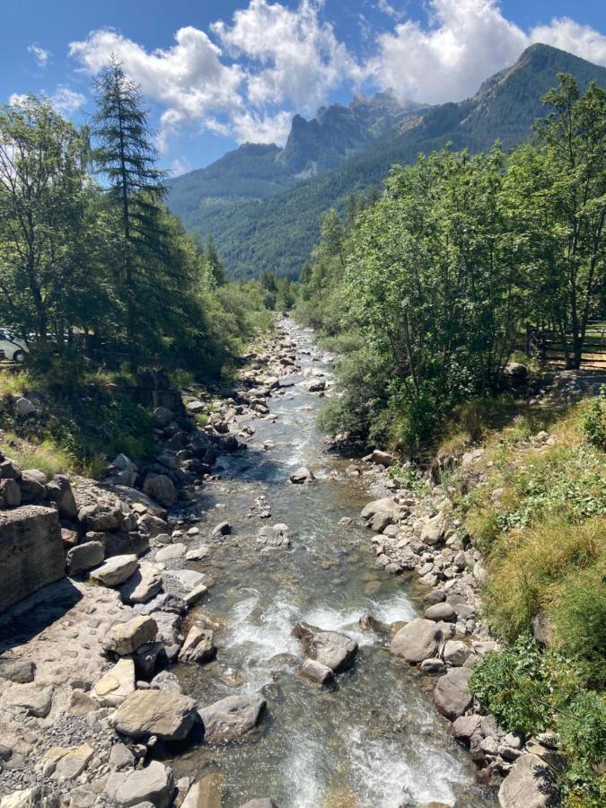 Forest * Saint-Apollinaire (Hautes-Alpes)